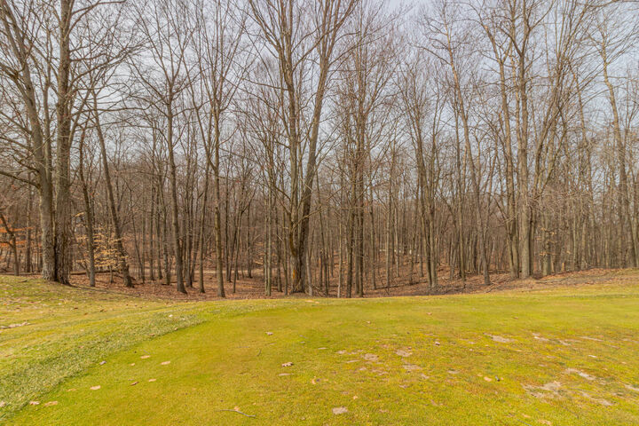 Property Photo:  9656 S Calgary Drive  MI 49346 