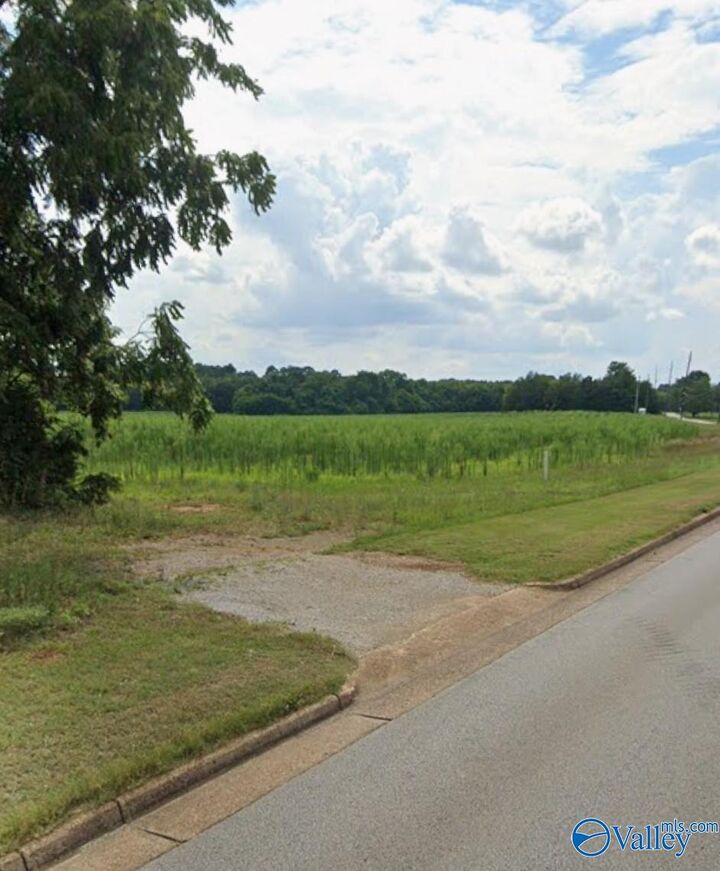 Property Photo:  1 Acre Pulaski Pike  AL 35810 