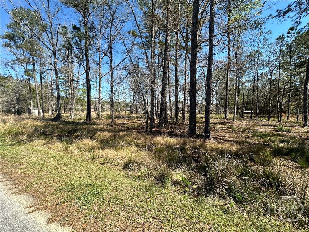 Property Photo:  102 Trail S  GA 31320 