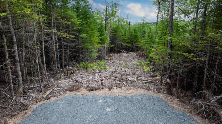 Property Photo:  Lot 4 72 Northgrove Lane  NS B3E 1K9 