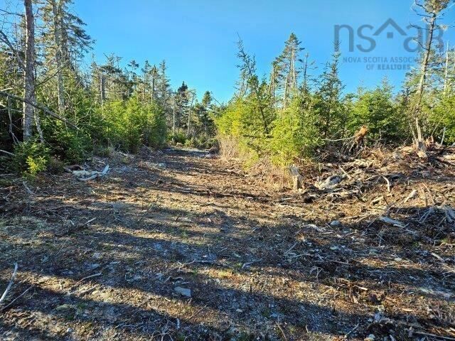 Property Photo:  Port Latour Road  NS B0W 2T0 
