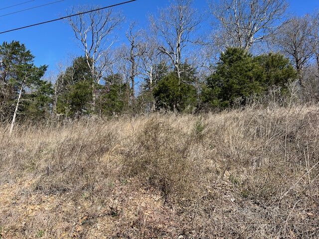 Property Photo: 225 Stateline Drive AR 72631