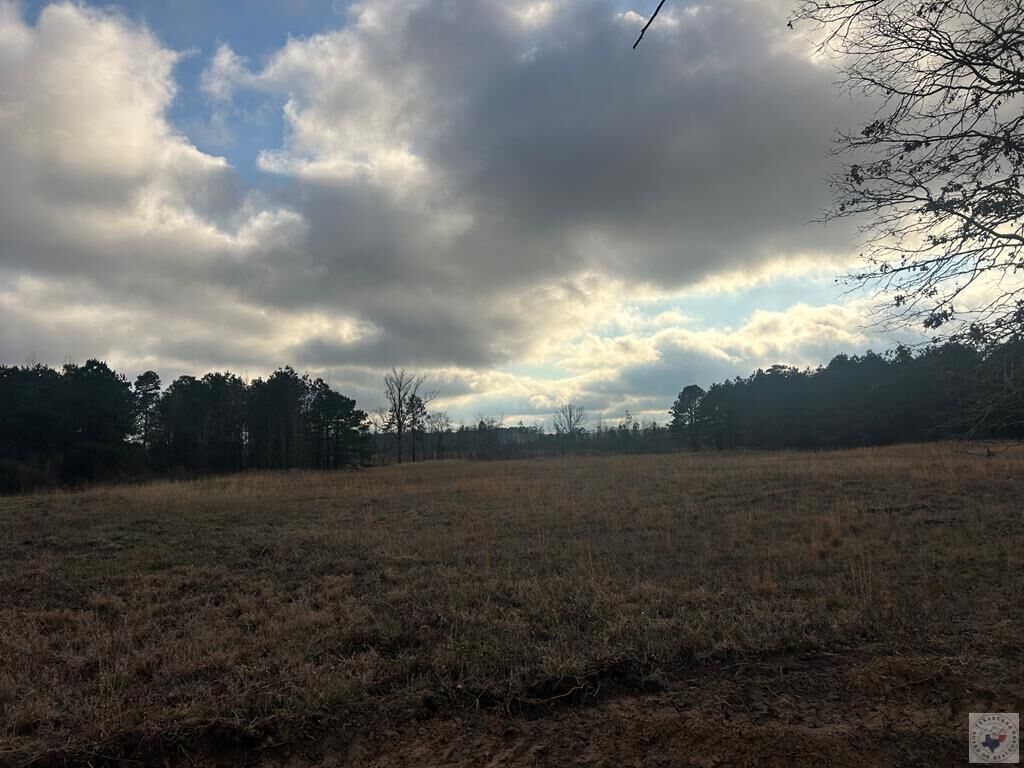 Property Photo:  Tbd Private Road 1108 (Lot 21)  AR 71837 