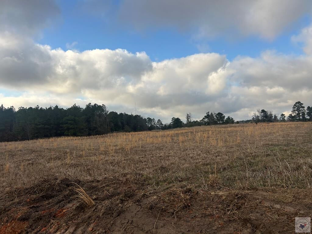 Property Photo:  Tbd Private Road 1108 (Lot 13)  AR 71837 