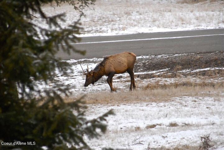 Property Photo:  L1 B2 Wailea Rd  ID 83833 