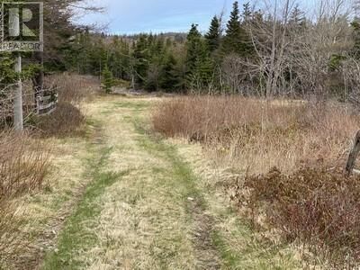 Property Photo:  173A Highway East  NL A0A 4G0 