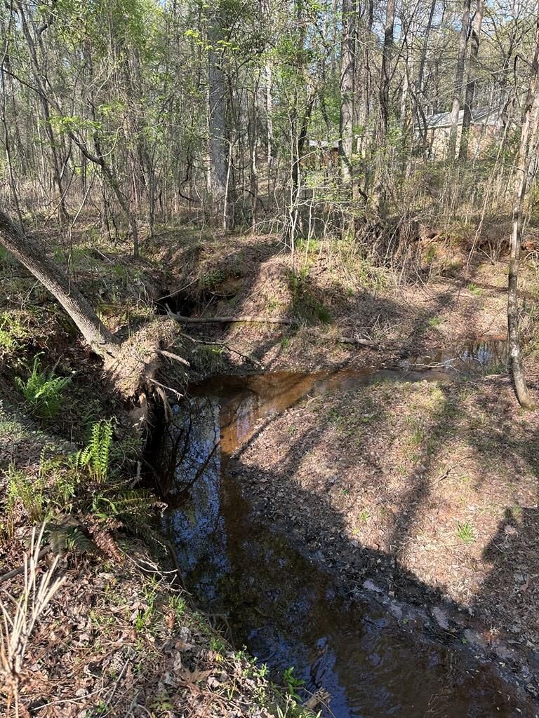 Property Photo: Lot 19 Highway 0085 GA 31831