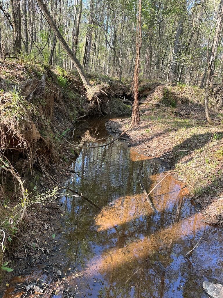 Property Photo:  Lot 19 Highway 0085  GA 31831 