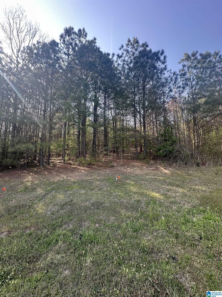 Property Photo:  Lot 10 N Montcrest 10  AL 35057 