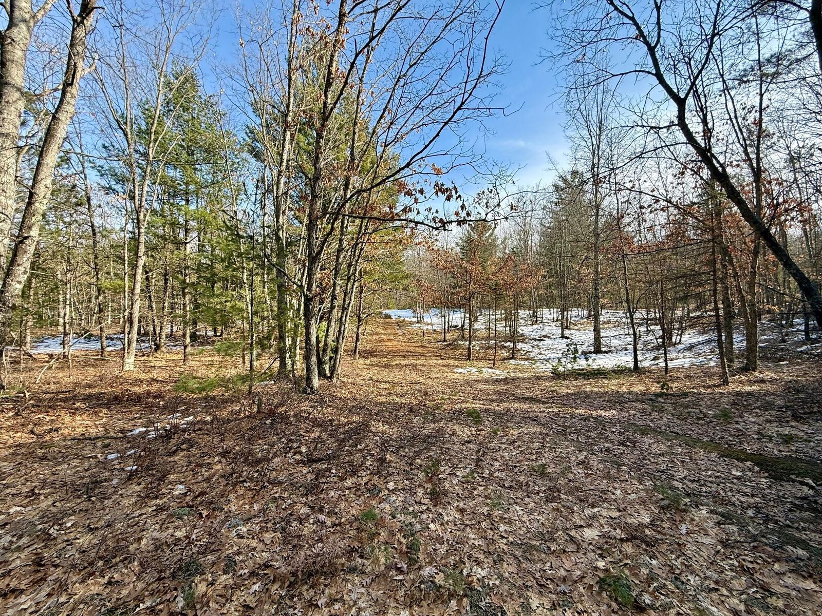 Property Photo: Vl N Merrillville Road MI 49304