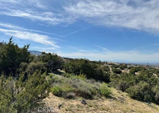 Property Photo: 0 Snow Valley Rd. CA 92372