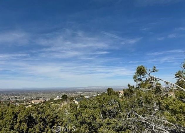 Property Photo: 0 Snow Valley Rd. CA 92372