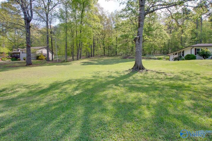 Property Photo:  .47 Acres Willow Beach Road  AL 35976 