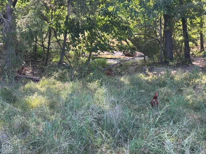 Property Photo: 183 Lawrence 352 AR 72572