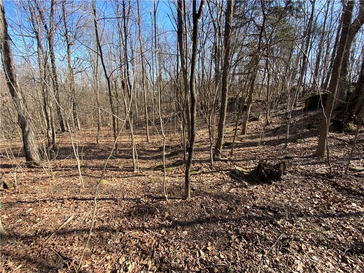 Property Photo:  Nc 6020  AR 72641 