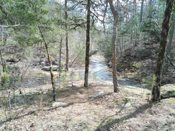 Property Photo: 4.8 Acres Hwy 21 AR 72854