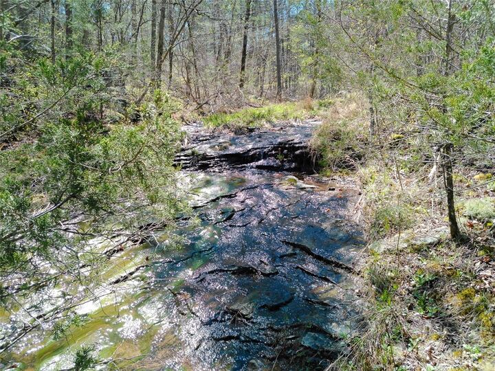 Property Photo: 4.8 Acres Hwy 21 AR 72854