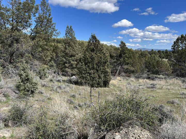 Property Photo:  Shasta Street 35 &Amp 36 &Amp 38  OR 97639 