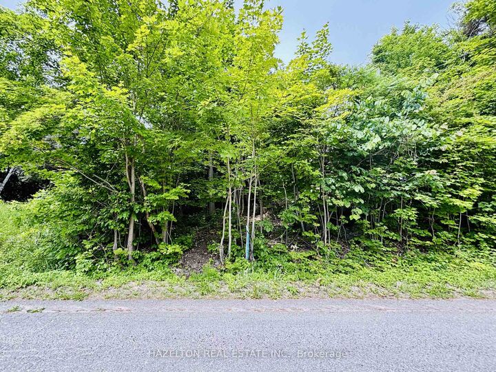 554 Barnes Avenue — photo 1