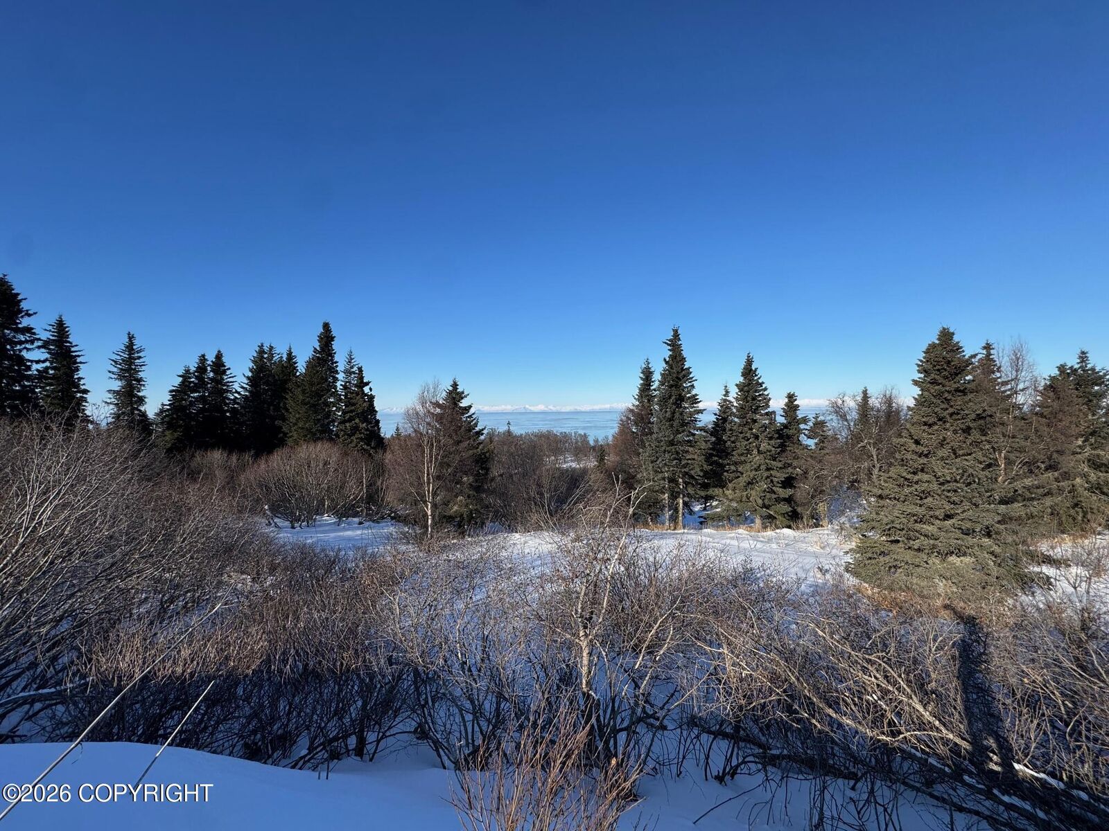 Property Photo:  L7 Mead Court  AK 99568 