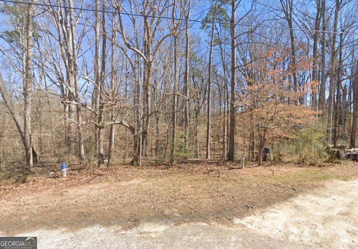 Property Photo:  101 Birch Court  GA 30549 