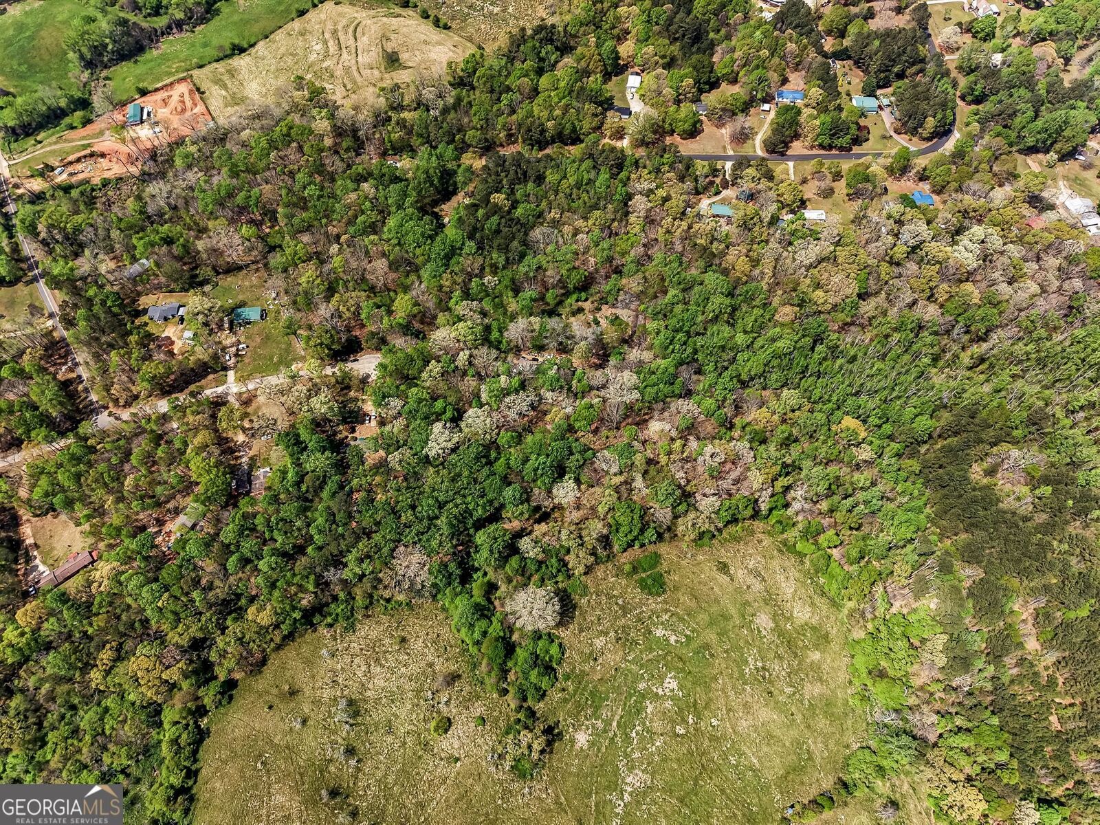 Property Photo: 101 Birch Court GA 30549