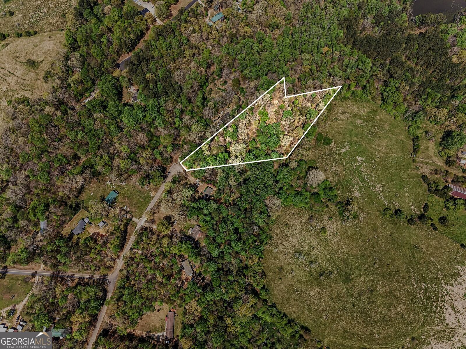 Property Photo:  101 Birch Court  GA 30549 