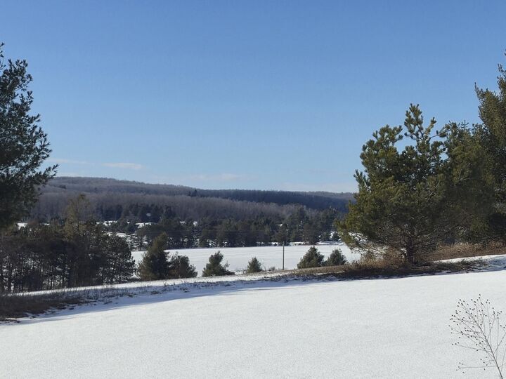 Property Photo:  5850 Deer Run Trail  MI 49740 