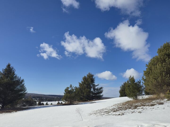 Property Photo:  5850 Deer Run Trail  MI 49740 