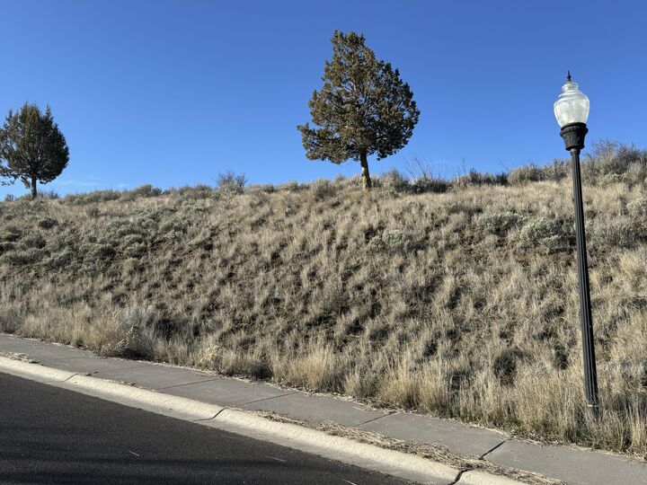 Property Photo:  Pristine Drive Lot 44  OR 97601 