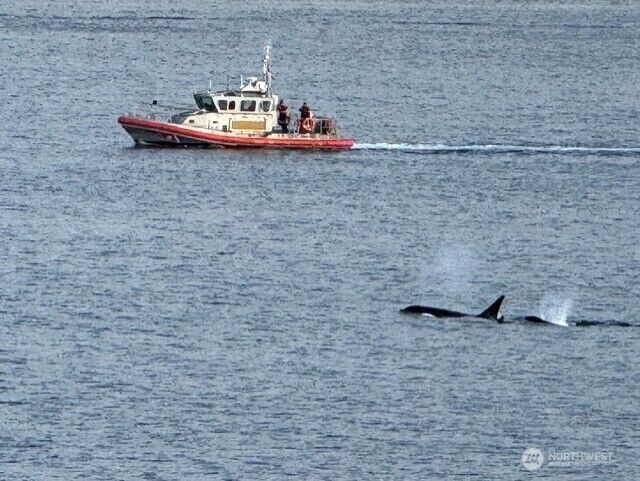 Property Photo:  1374  Alki Avenue SW 400  WA 98116 