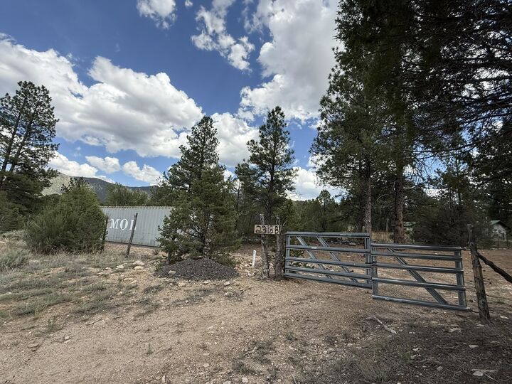Property Photo:  2318 Old Red River Road B  NM 87556 