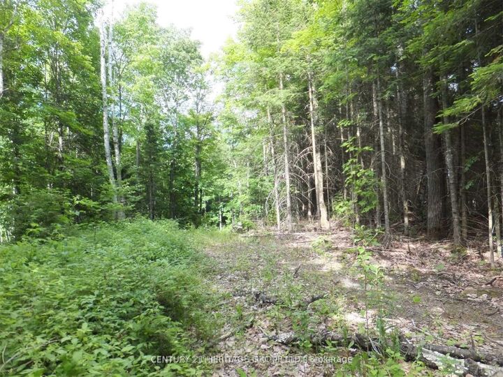 Property Photo:  2098 Glamor Lake Road  ON K0M 1R0 