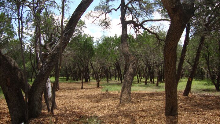 Property Photo:  36 Travis Oaks Drive  TX 78654 