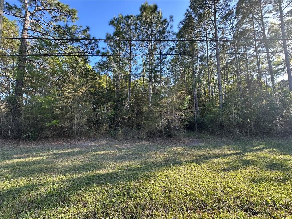 Property Photo:  Lots 25-30 Radio Avenue  FL 32097 