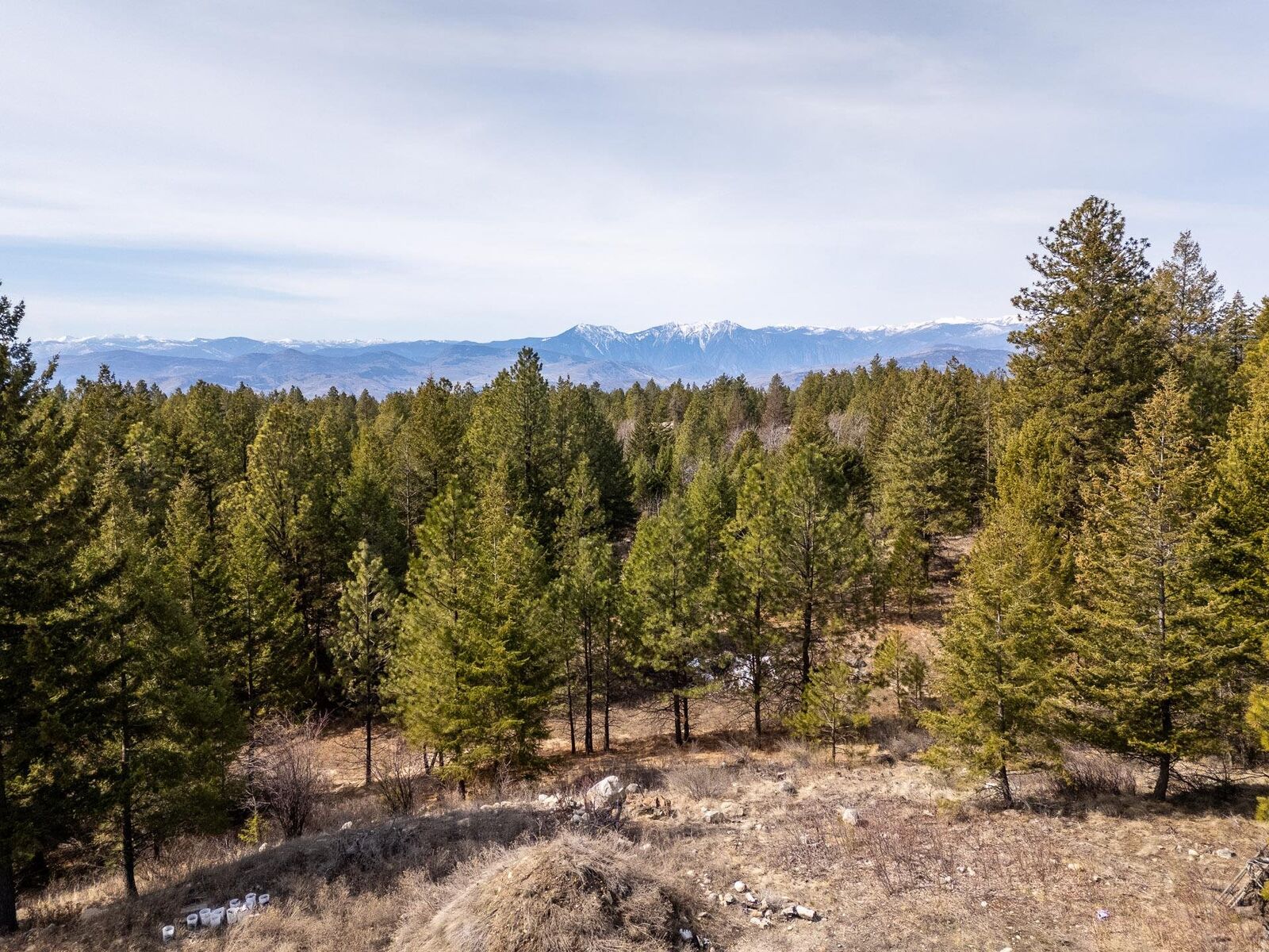 Photo de la propriété:  490 Wapiti Way  BC V0H 1V6 