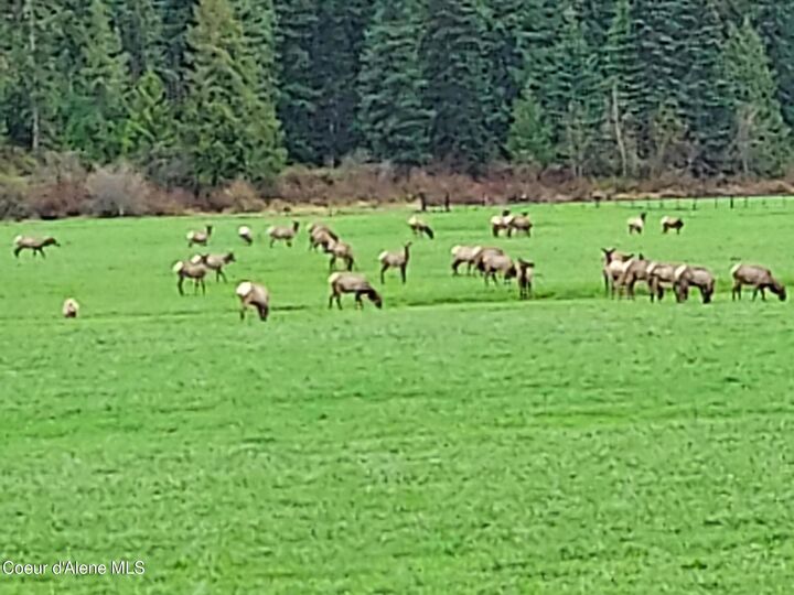 Property Photo:  Nka St Joe River Rd  ID 83861 