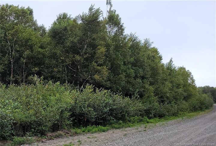 Property Photo:  501 Fundy Drive  NB E5E 1Y8 