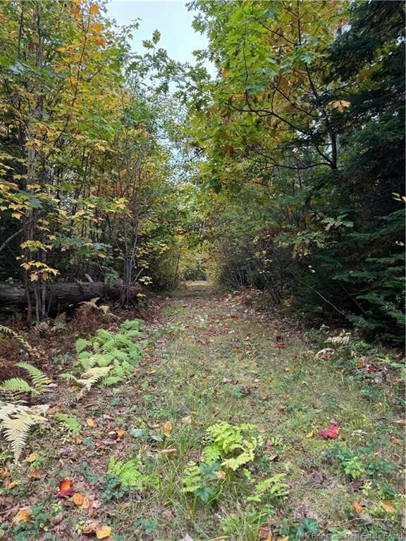 Property Photo:  Lot 12-4 Wegesegum Road  NB E4A 2R7 