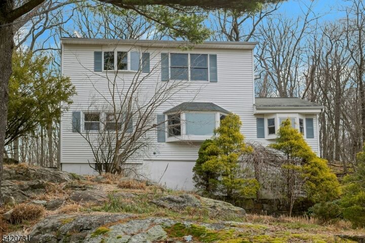 Property Photo: 229 White Meadow Rd NJ 07866