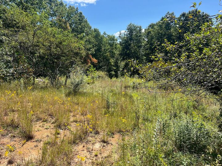 Property Photo:  Hamilton Ridge Road  WV 24910 