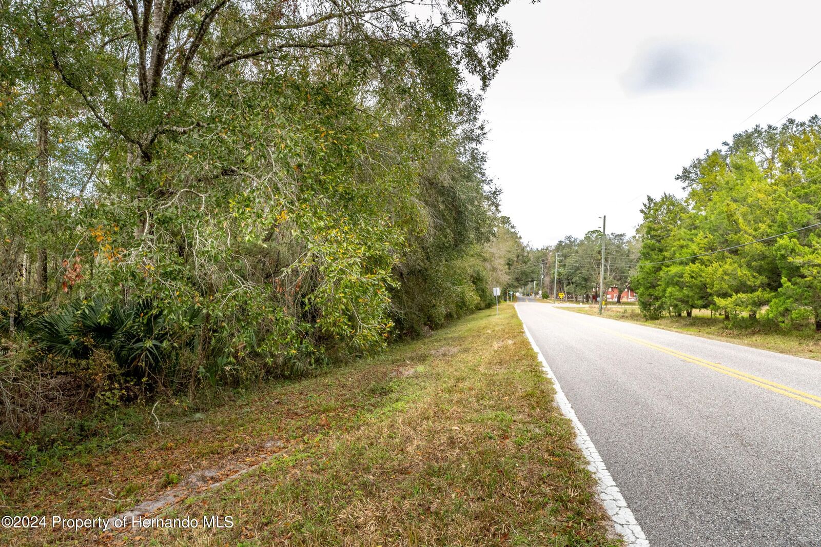 Property Photo:  0 Lake Lindsay Tract 2 Road  FL 34601 