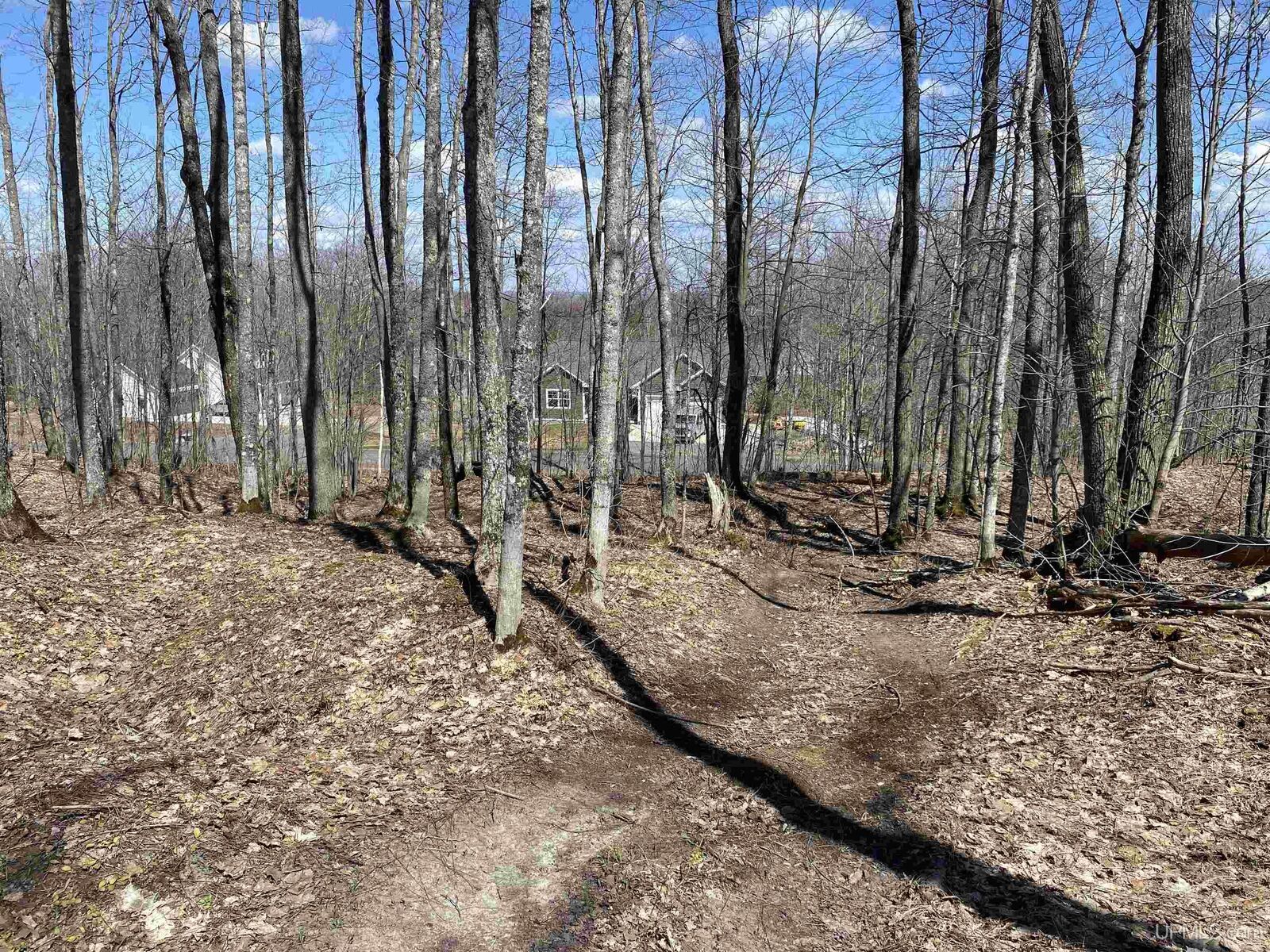 Property Photo:  Tbd Lot 24 S Whealkate Drive  MI 49963 