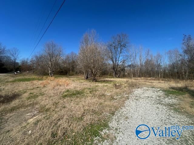 Property Photo: 125 Riverdale Drive AL 35754