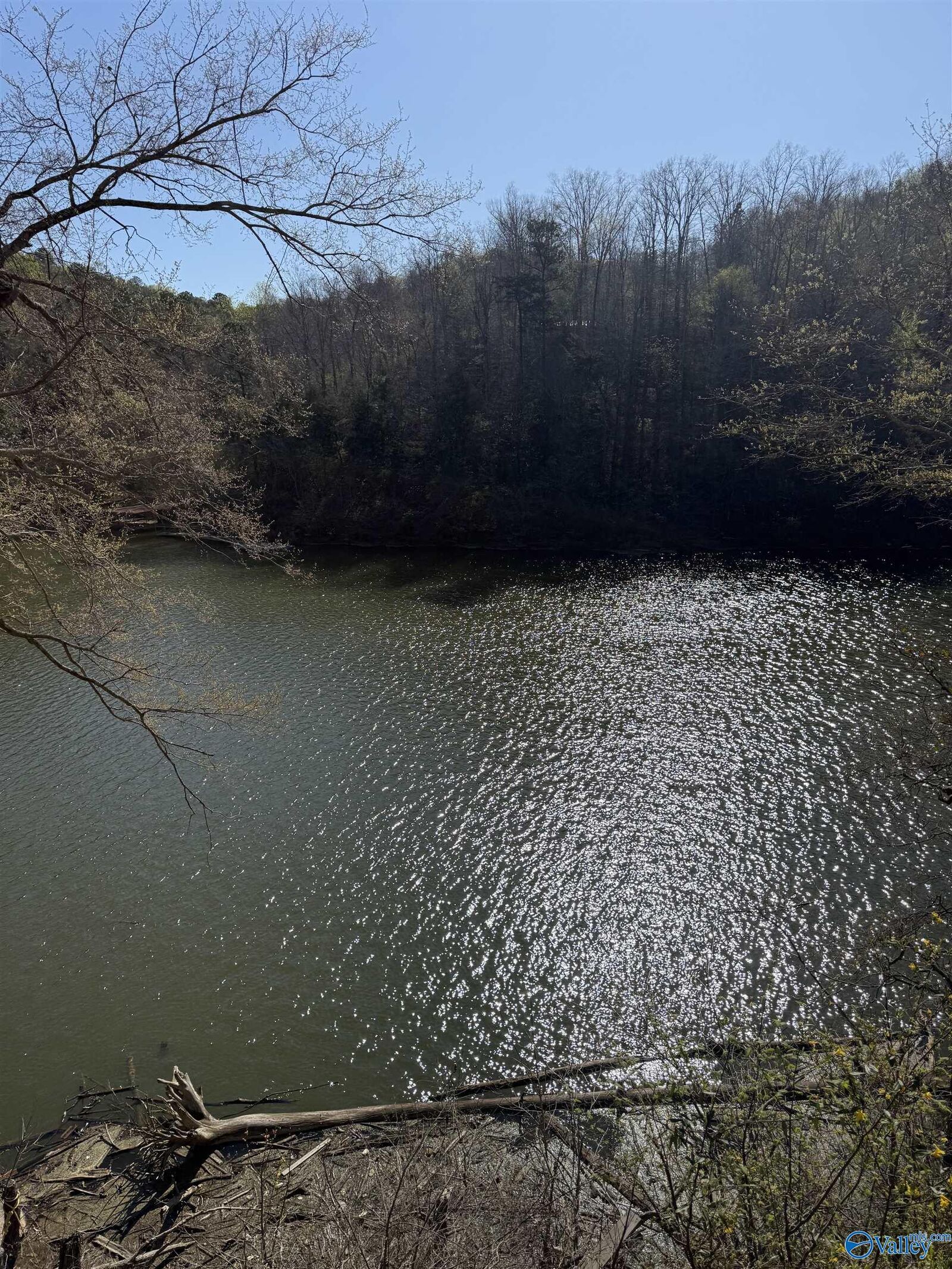 Property Photo: Lot 11 County Road 3782 AL 35541