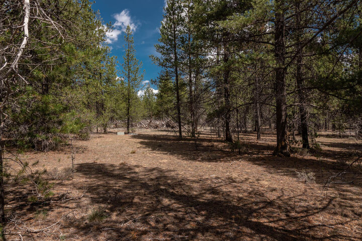 Property Photo:  15961 Wright Avenue  OR 97739 