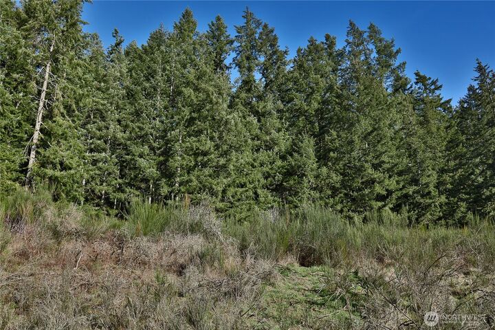 Property Photo:  0 Xxx  SR 525 Road  WA 98260 