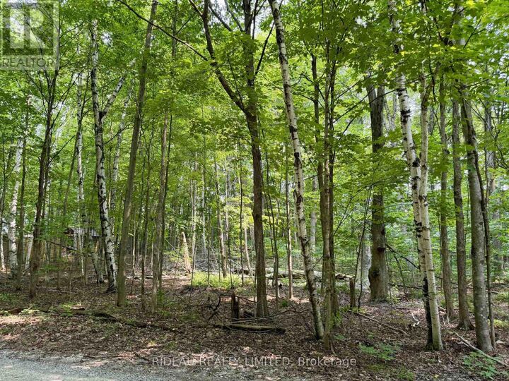 Property Photo:  Pt 38 Cedar Sands Road  ON K0E 1N0 