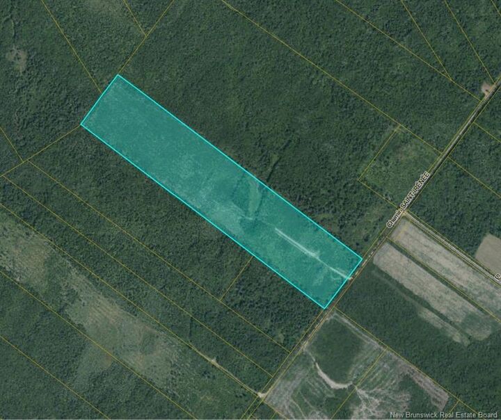 Property Photo:  00 Woodlot Chemin Saint-Irenee  NB E4S 5E7 