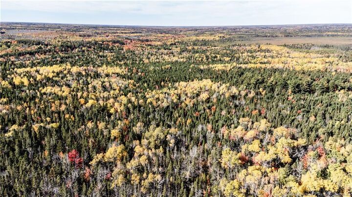 Property Photo: Lot Saint Charles N NB E4W 4X8